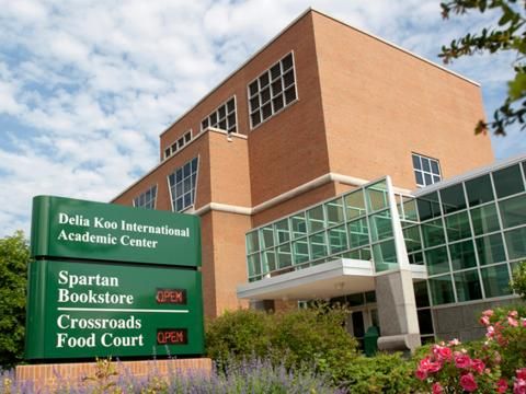 Michigan State University International Awards in USA 2026/2027